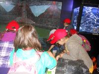 dscn6313.jpg