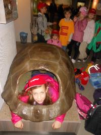 dscn6336.jpg