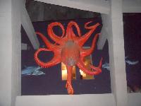 dscn6365.jpg