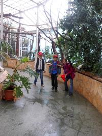 dscn6383.jpg