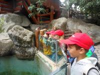 dscn6409.jpg