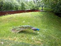 dscn6413.jpg
