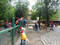 dscn6418.jpg