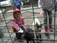 dscn6419.jpg