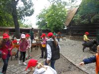 dscn6421.jpg