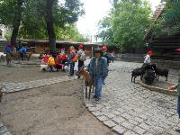 dscn6424.jpg