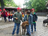 dscn6425.jpg