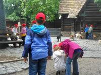 dscn6429.jpg