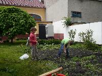 p1260591.jpg