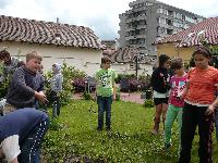 p1260598.jpg