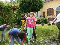 p1260609.jpg