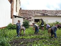 p1260614.jpg