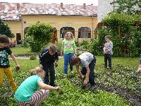 p1260627.jpg