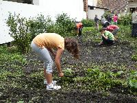 p1260636.jpg