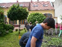 p1260651.jpg