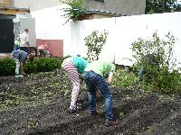 p1260661.jpg