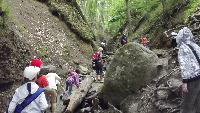 dscf8404.jpg