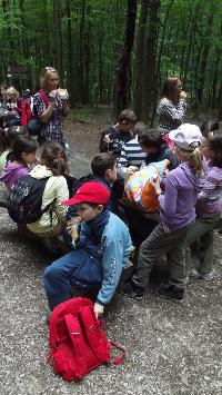 dscf8418.jpg