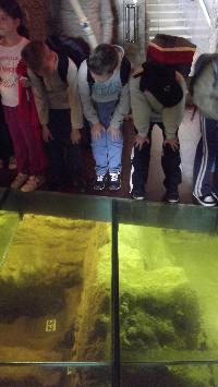 dscf8611.jpg