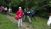 dscf8787.jpg