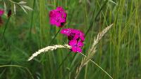 dscf8873.jpg