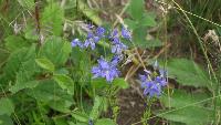 dscf8878.jpg