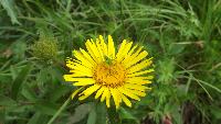 dscf8880.jpg