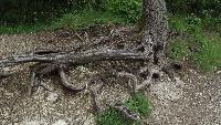 dscf8906.jpg