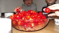 dscf8922.jpg
