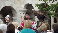 dscf9008.jpg