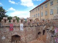 dsc02338.jpg