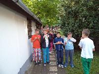 dsc02428.jpg