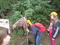 dsc02450.jpg