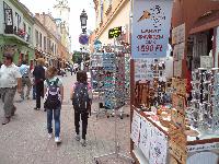 dsc02467.jpg