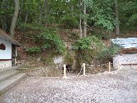 dsc02470.jpg