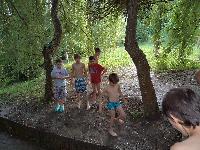 dsc02478.jpg