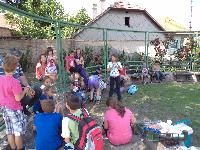 dsc02575.jpg