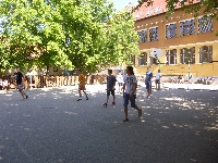 p1050471.jpg