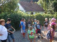 dsc03163.jpg