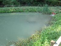 dsc03169.jpg