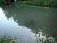 dsc03170.jpg