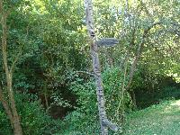 dsc03171.jpg