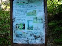 dsc03172.jpg