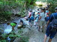 dsc03173.jpg