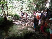 dsc03176.jpg