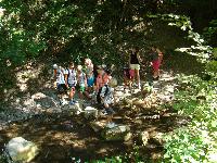 dsc03178.jpg