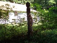 dsc03181.jpg