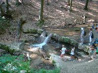 dsc03183.jpg