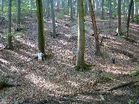 dsc03188.jpg