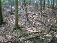 dsc03189.jpg